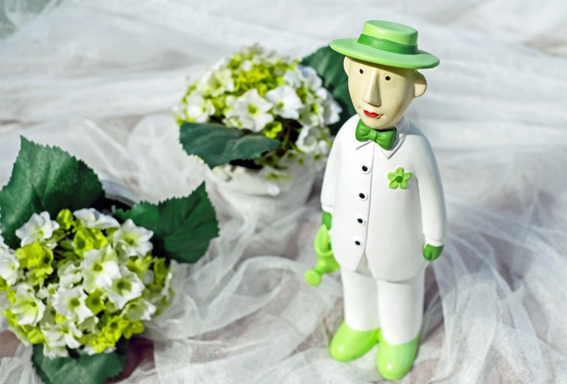 boutique-BRUE AURIAC-min_man-person-flower-green-toy-fig-546529-pxhere.com